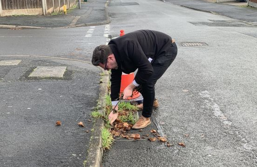 Greatfield Road - Weeds