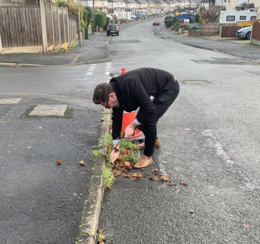 Greatfield Road - Weeds